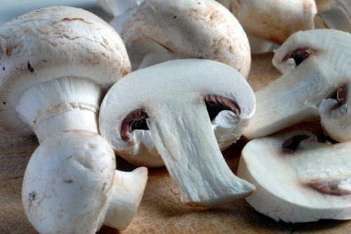 champignons de paris
