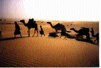 https://static.onlc.eu/aljakani-babyNDD//123636504672.png https://static.onlc.eu/aljakani-babyNDD//123636504672.png