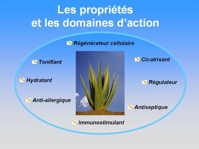 Aloe Vera Forever Living Products