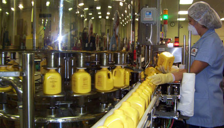 Aloe Vera Forever Living Products