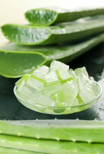 Mucilage Aloe Vera