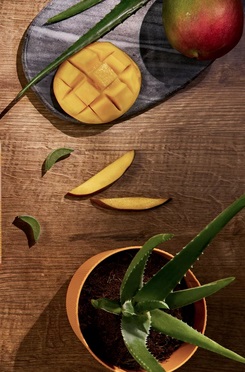 Forever Aloe Mango