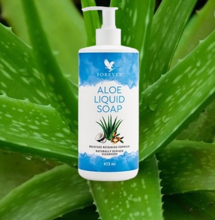 Aloe Liquid Soap