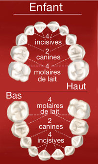 https://static.onlc.eu/dr-ramahaleo-nNDD//1272818905100.jpg