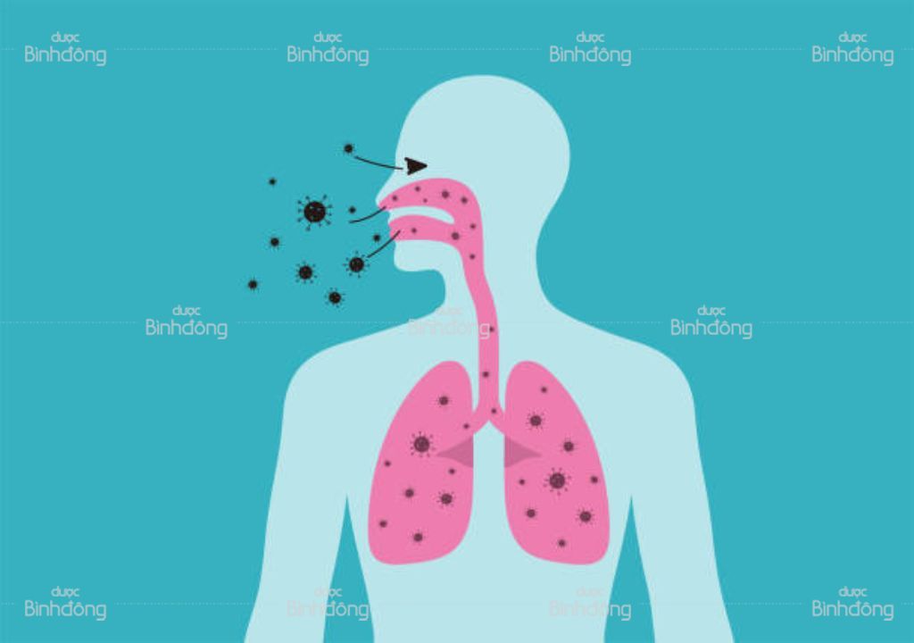 Các dấu hiệu thường gặp của phổi yếu và cách điều trị - Dược Bình Đông