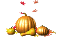 https://static.onlc.eu/eveil-a-la-foiNDD//125801733923.gif