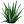 Aloe Vera de Forever Living Products