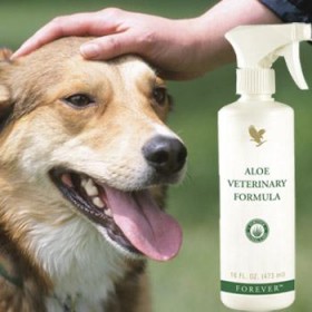 Formule animal forever living products