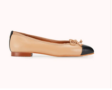 chaussures cosmoparis