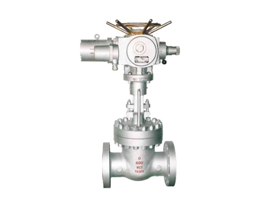 Class 600 Valve
