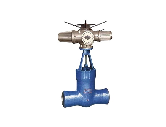 Class 900 Industrial Valve
