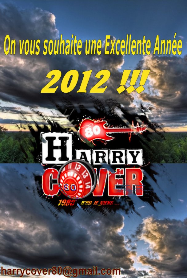 https://static.onlc.eu/harrycover80NDD/optimised/133774496166.jpg