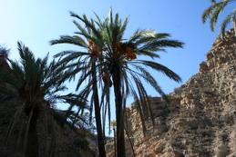 LES ALENTOURS
