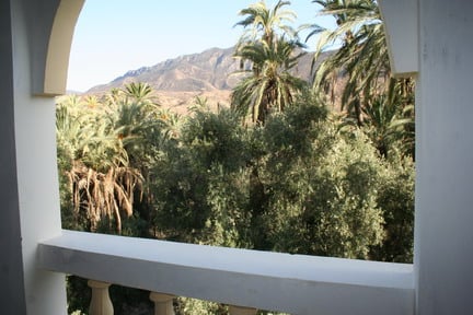 VUE SUR LA PALMERAIE