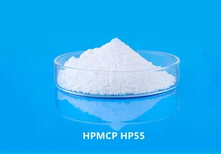 Hydroxypropyl Methyl Cellulose Phthalate (HPMC-P) Manufacturer