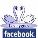 Logo FACEBOOK Les Cygnes