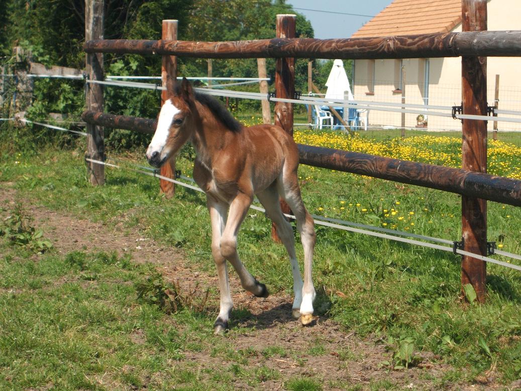 https://static.onlc.eu/lesperchesNDD//124316202173.jpg
