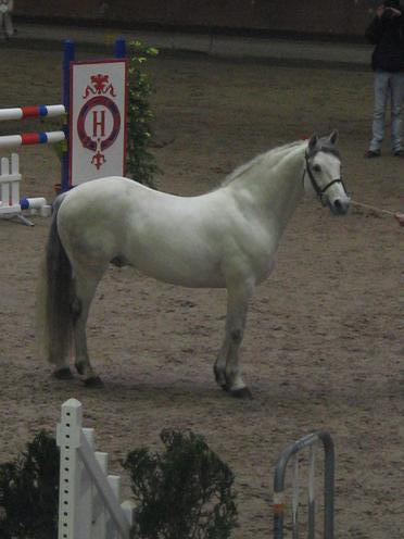 https://static.onlc.eu/lesperchesNDD//12472198603.jpg