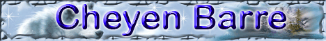 https://static.onlc.eu/lestresorsduwebNDD//125354206960.gif