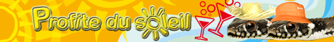 https://static.onlc.eu/lestresorsduwebNDD//125354261283.gif