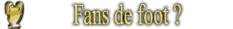 https://static.onlc.eu/lestresorsduwebNDD//125362566587.gif