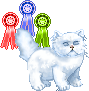 https://static.onlc.eu/pernragsNDD//124241224054.gif