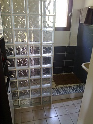 grand espace douche avec mur en carreaux de verre 