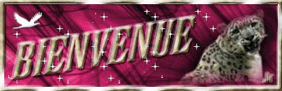 https://static.onlc.eu/royaume-beauteNDD/optimised/133711140055.gif
