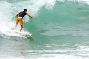 le surf et le longboard surf