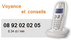 VOYANCE ET CONSEILS