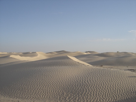dunes de sable désert de Douz