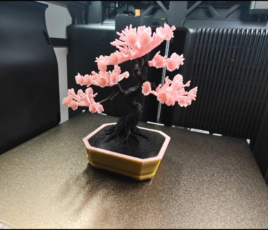 Rubrique zen et plantes