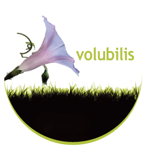 https://static.onlc.eu/volubilisNDD//131515105521.png